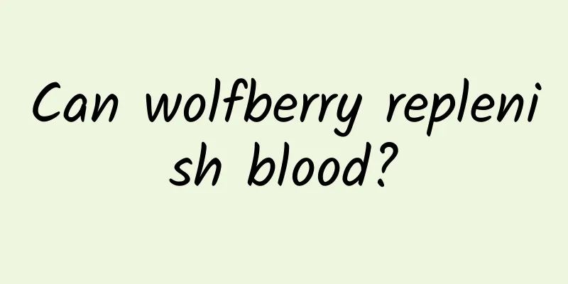 Can wolfberry replenish blood?