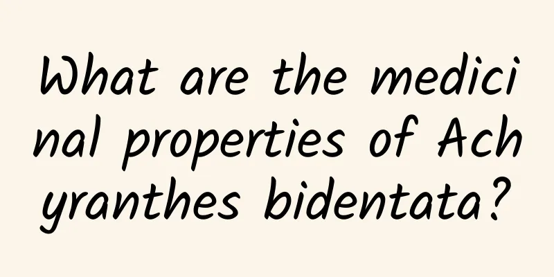 What are the medicinal properties of Achyranthes bidentata?