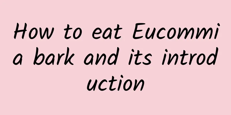 How to eat Eucommia bark and its introduction
