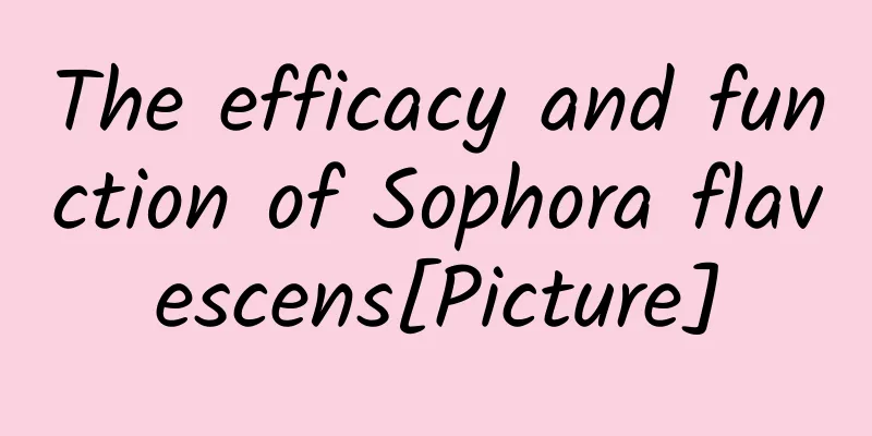 The efficacy and function of Sophora flavescens[Picture]