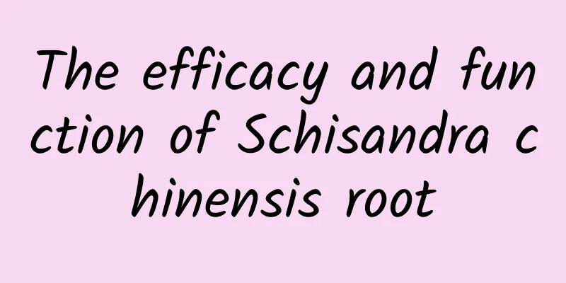 The efficacy and function of Schisandra chinensis root