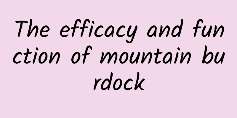The efficacy and function of mountain burdock