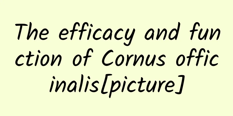 The efficacy and function of Cornus officinalis[picture]
