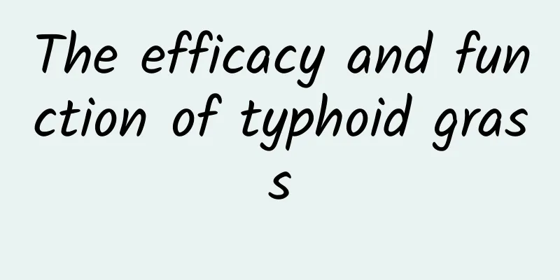 The efficacy and function of typhoid grass