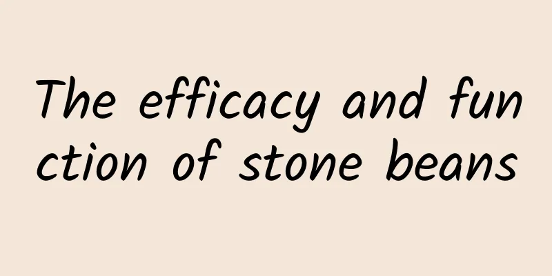 The efficacy and function of stone beans