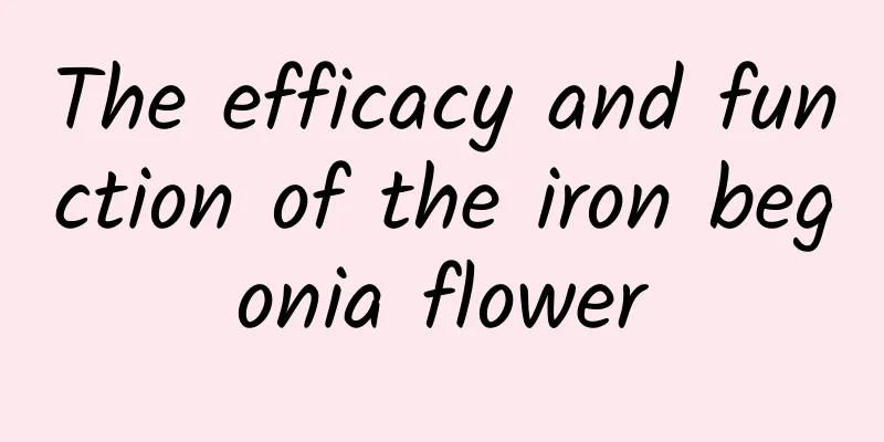 The efficacy and function of the iron begonia flower