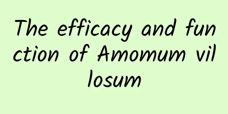 The efficacy and function of Amomum villosum