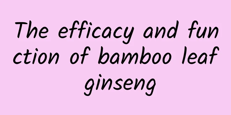 The efficacy and function of bamboo leaf ginseng