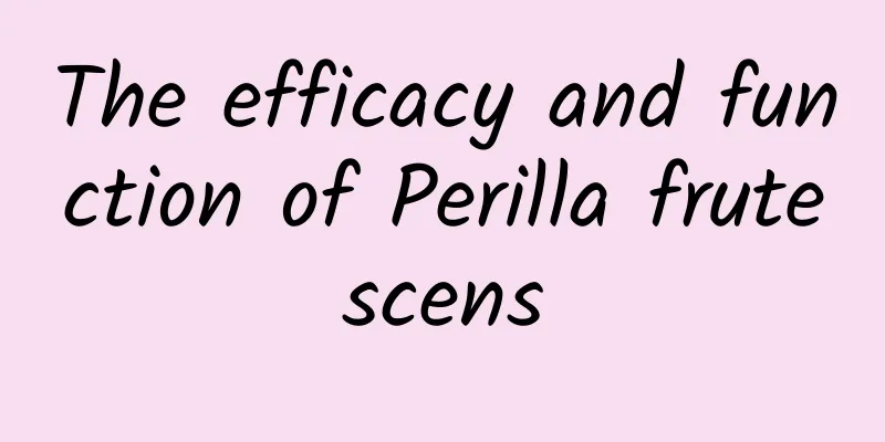 The efficacy and function of Perilla frutescens