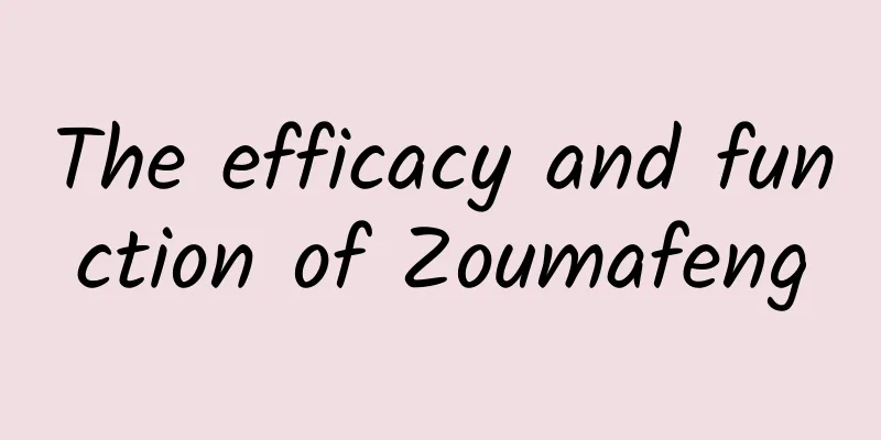 The efficacy and function of Zoumafeng