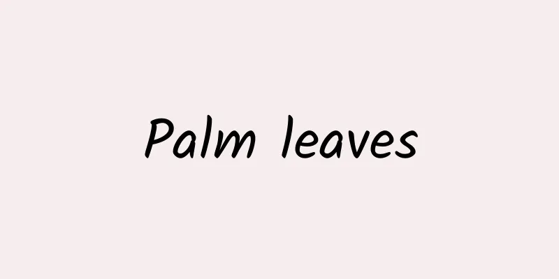 Palm leaves