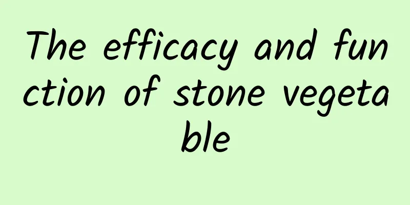 The efficacy and function of stone vegetable