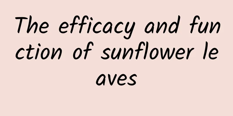 The efficacy and function of sunflower leaves