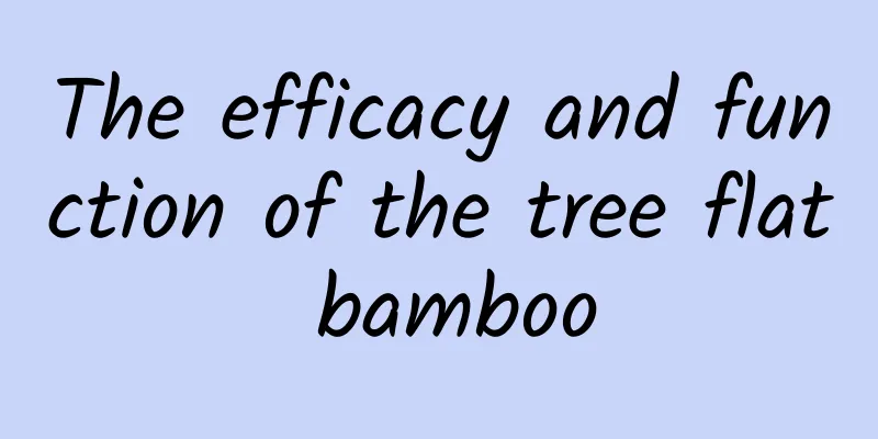 The efficacy and function of the tree flat bamboo