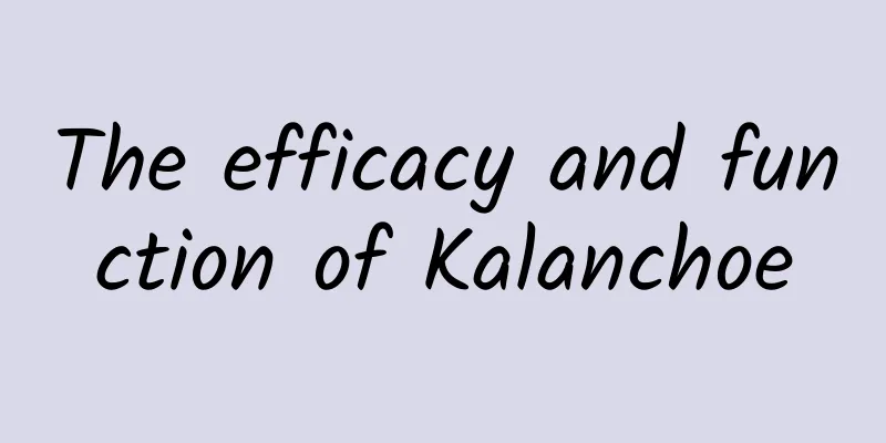 The efficacy and function of Kalanchoe