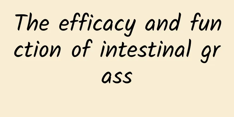 The efficacy and function of intestinal grass