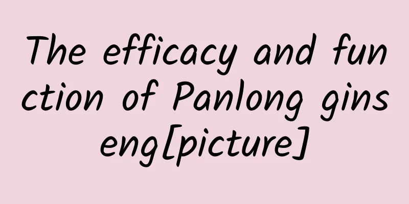 The efficacy and function of Panlong ginseng[picture]