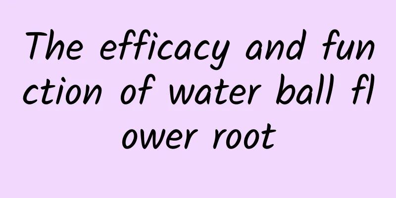 The efficacy and function of water ball flower root
