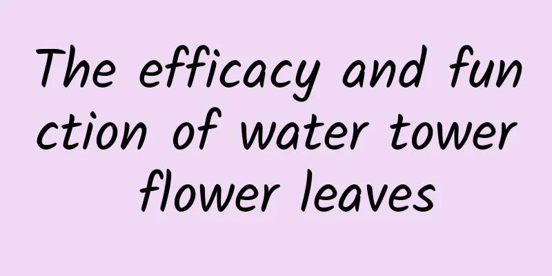 The efficacy and function of water tower flower leaves