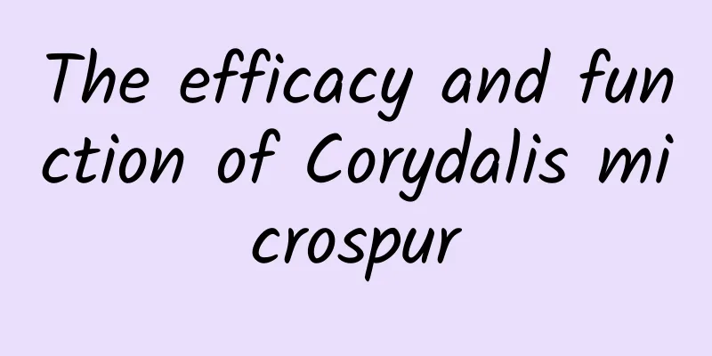 The efficacy and function of Corydalis microspur