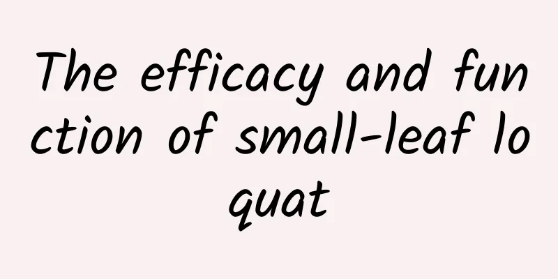 The efficacy and function of small-leaf loquat