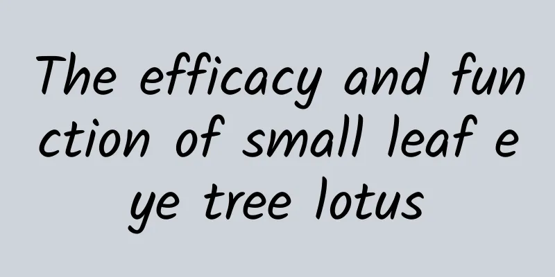 The efficacy and function of small leaf eye tree lotus