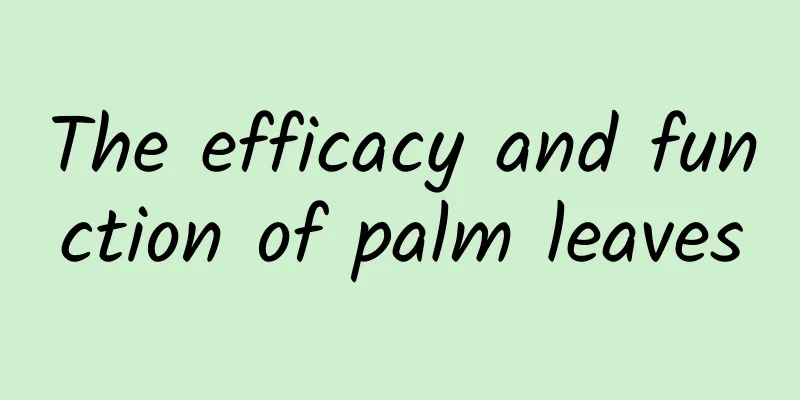 The efficacy and function of palm leaves