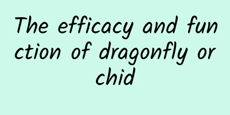 The efficacy and function of dragonfly orchid