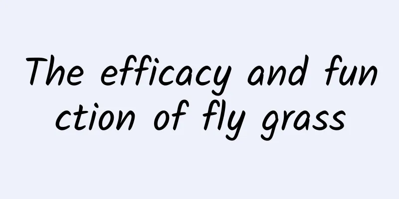 The efficacy and function of fly grass