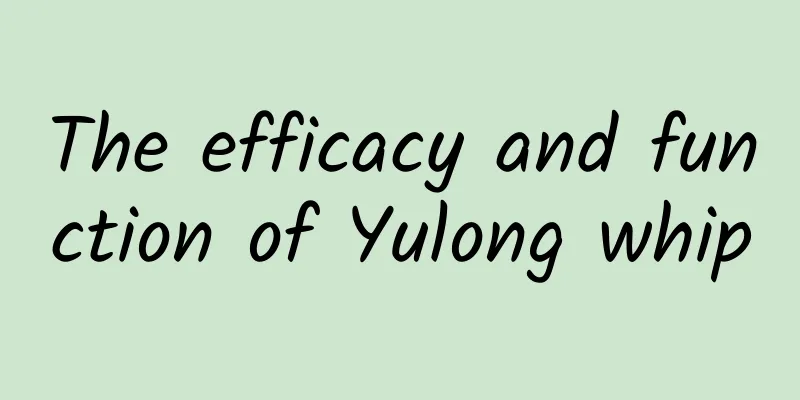The efficacy and function of Yulong whip