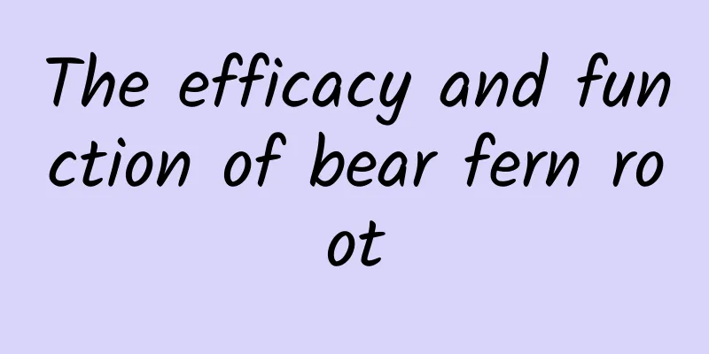 The efficacy and function of bear fern root