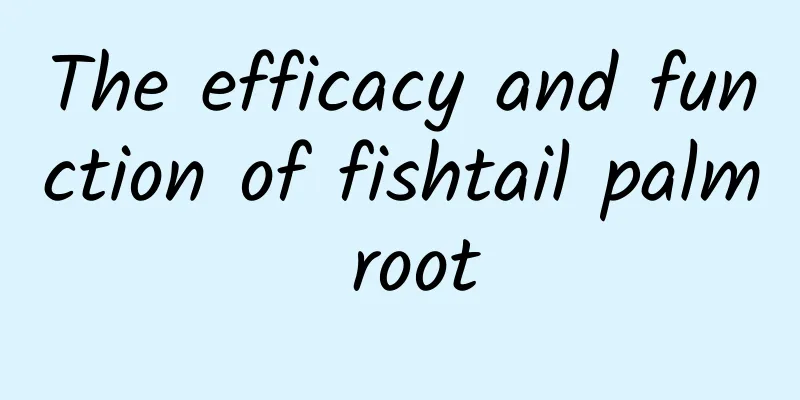 The efficacy and function of fishtail palm root
