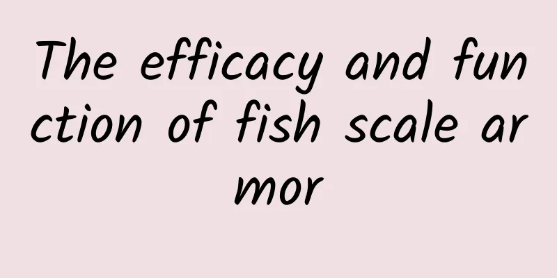 The efficacy and function of fish scale armor