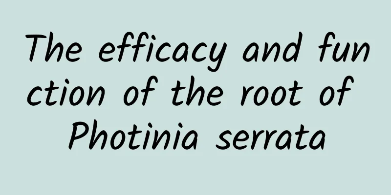 The efficacy and function of the root of Photinia serrata