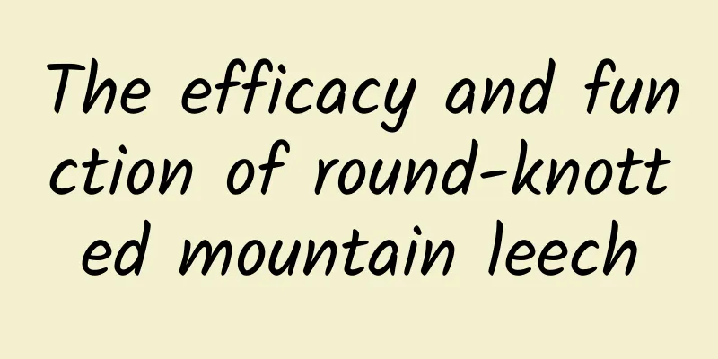 The efficacy and function of round-knotted mountain leech