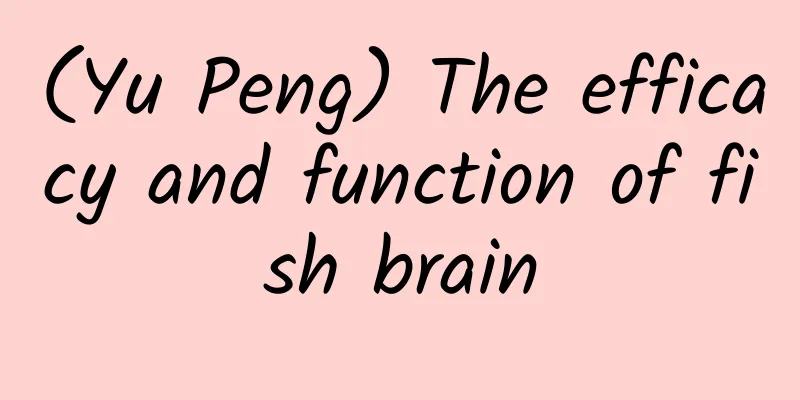(Yu Peng) The efficacy and function of fish brain