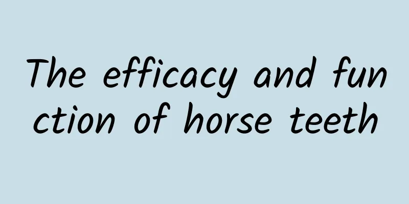 The efficacy and function of horse teeth