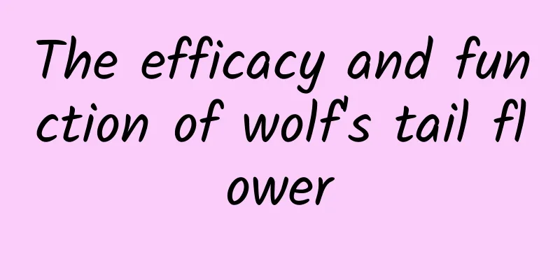 The efficacy and function of wolf's tail flower