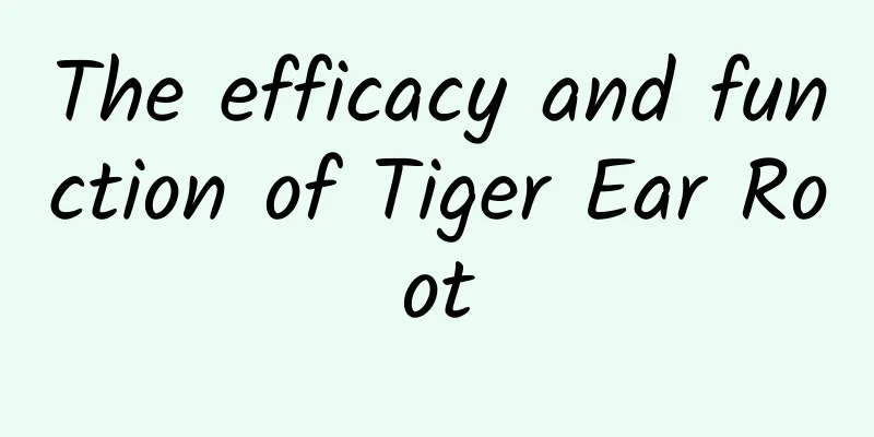The efficacy and function of Tiger Ear Root