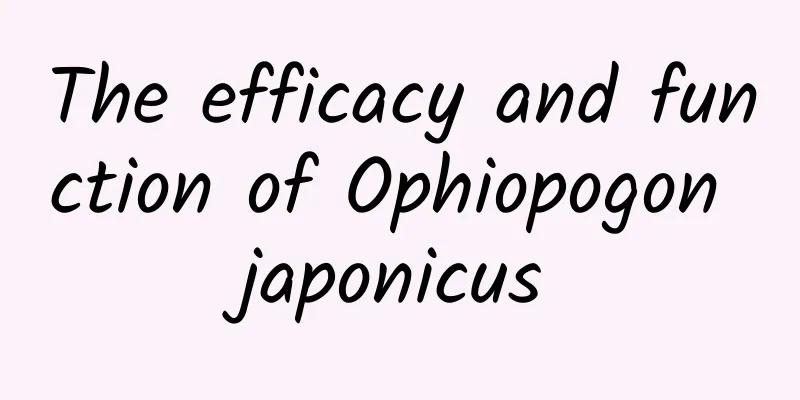 The efficacy and function of Ophiopogon japonicus