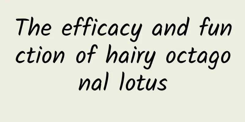 The efficacy and function of hairy octagonal lotus