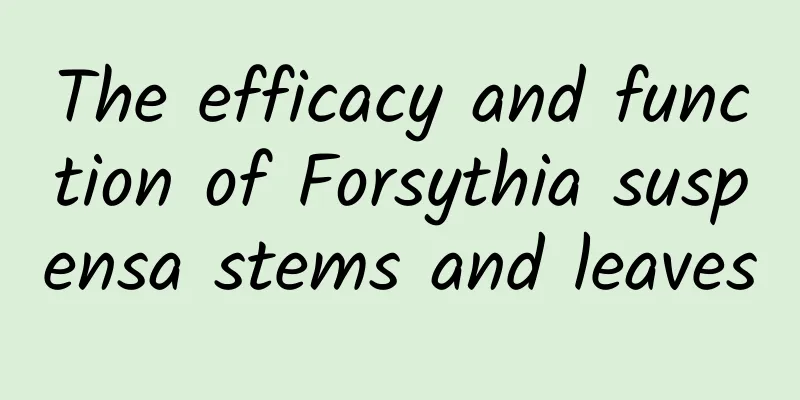 The efficacy and function of Forsythia suspensa stems and leaves