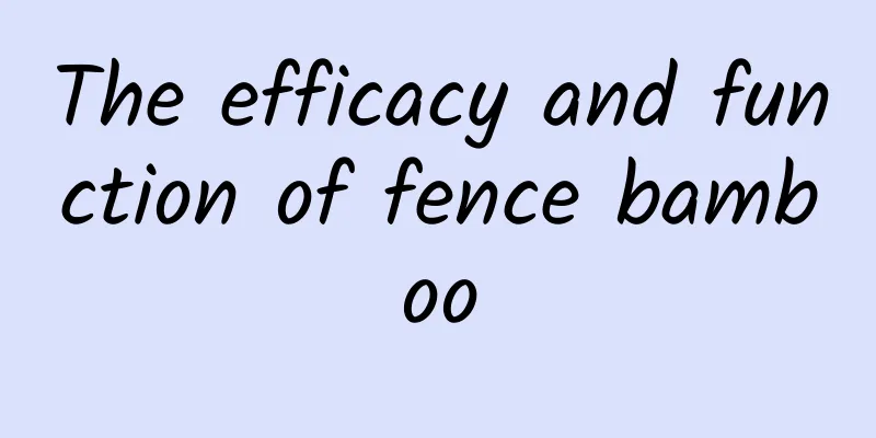 The efficacy and function of fence bamboo
