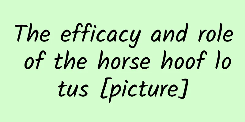 The efficacy and role of the horse hoof lotus [picture]