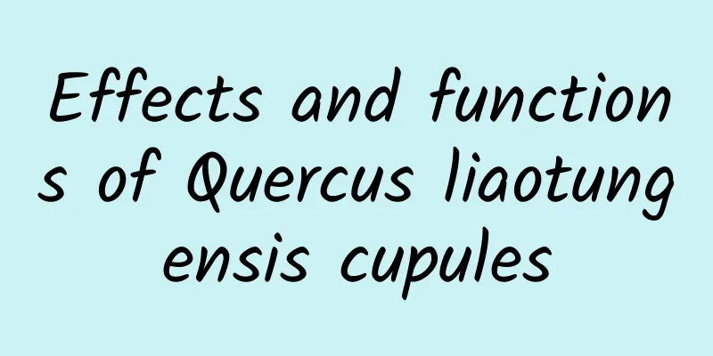 Effects and functions of Quercus liaotungensis cupules