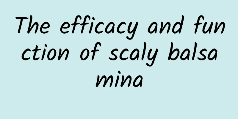 The efficacy and function of scaly balsamina