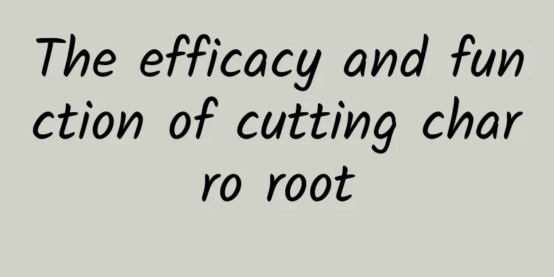 The efficacy and function of cutting charro root