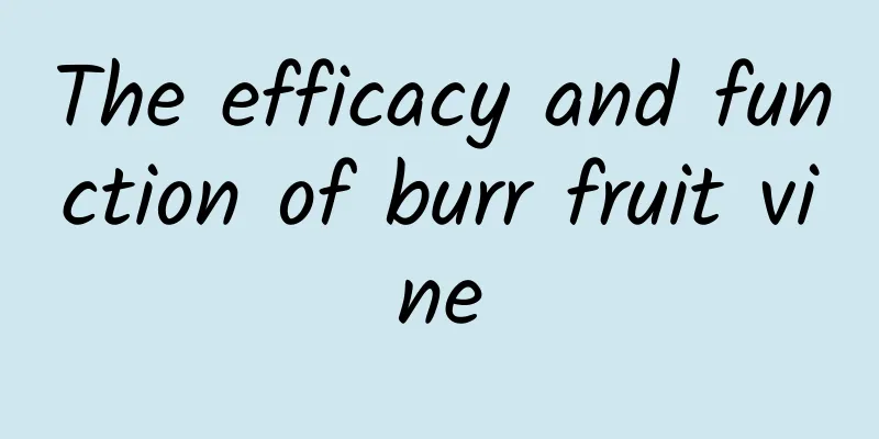 The efficacy and function of burr fruit vine