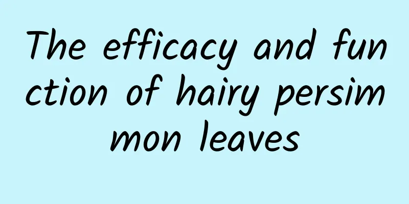 The efficacy and function of hairy persimmon leaves