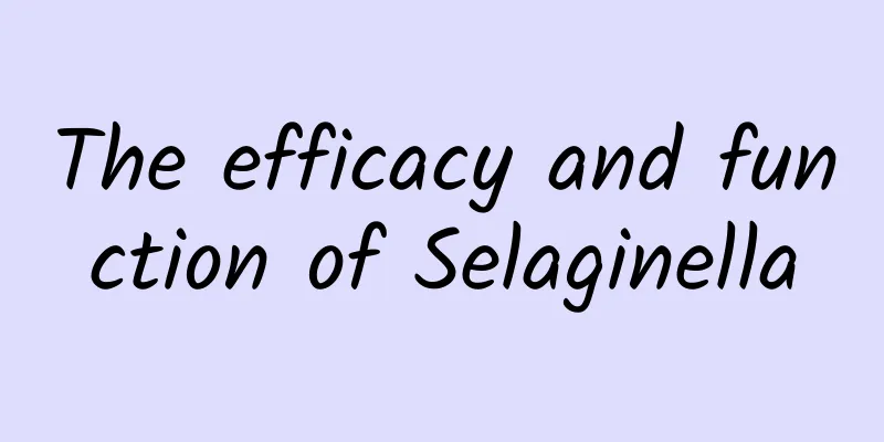 The efficacy and function of Selaginella